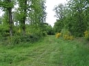 Bois des Forges